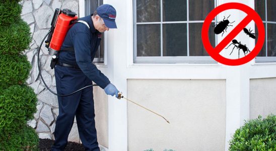 Yayladağı Böcek ve Haşere İlaçlama böcek ilaçlama ve haşere kontrolü — ilaclama-tr.com